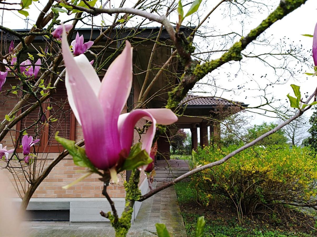 Agriturismo I Quercioli パルマ エクステリア 写真